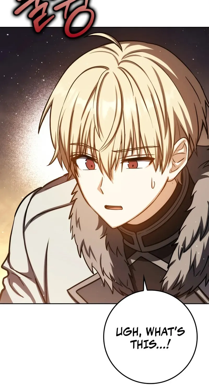 The Reincarnated Assassin Is a Swordmaster Chapter 71 page 14 - 
