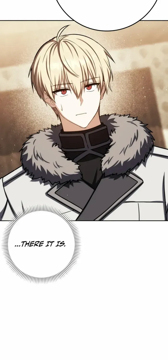 The Reincarnated Assassin Is a Swordmaster Chapter 74 page 101 - 