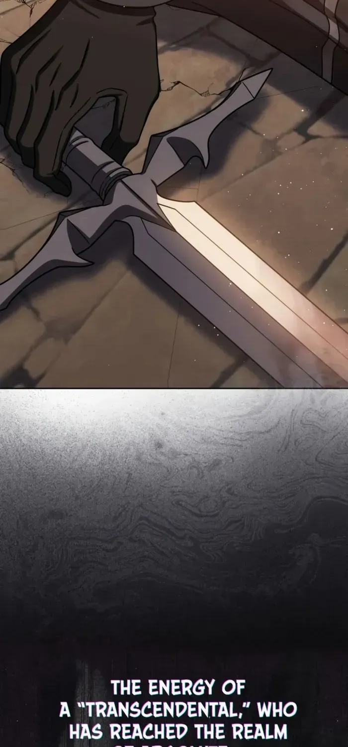 The Reincarnated Assassin Is a Swordmaster Chapter 74 page 4 - 