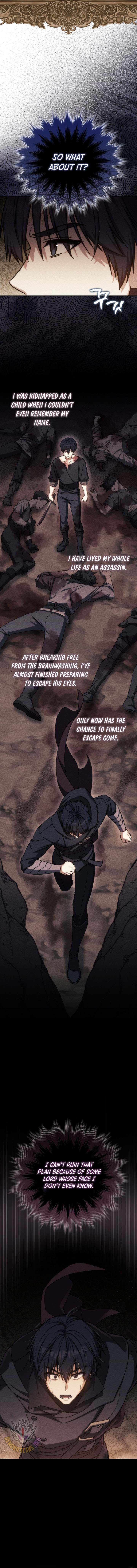 The Reincarnated Assassin Is a Swordmaster Chapter 78 page 9 - 