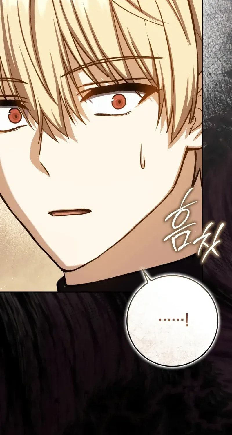 The Reincarnated Assassin Is a Swordmaster Chapter 82 page 95 - 