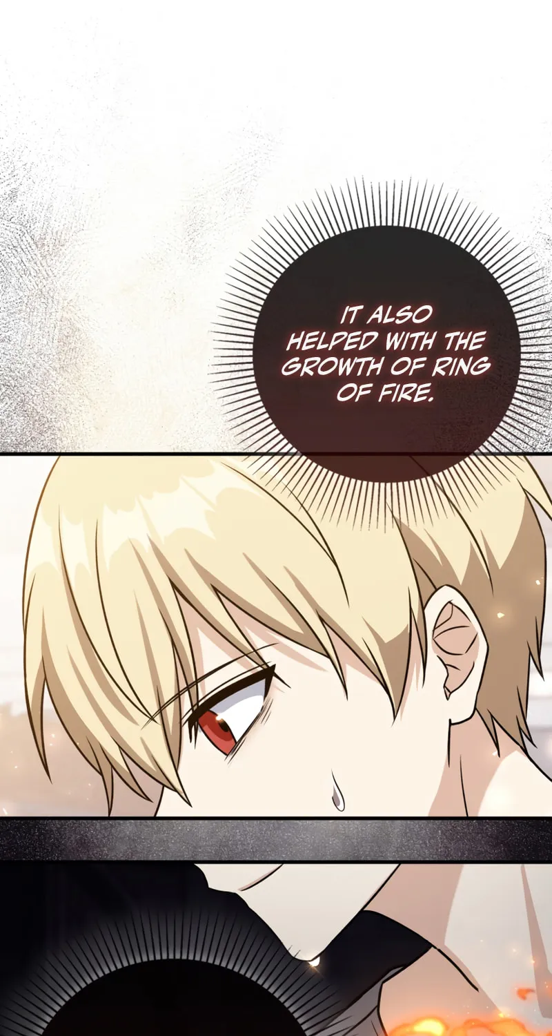 The Reincarnated Assassin Is a Swordmaster Chapter 9 page 67 - 