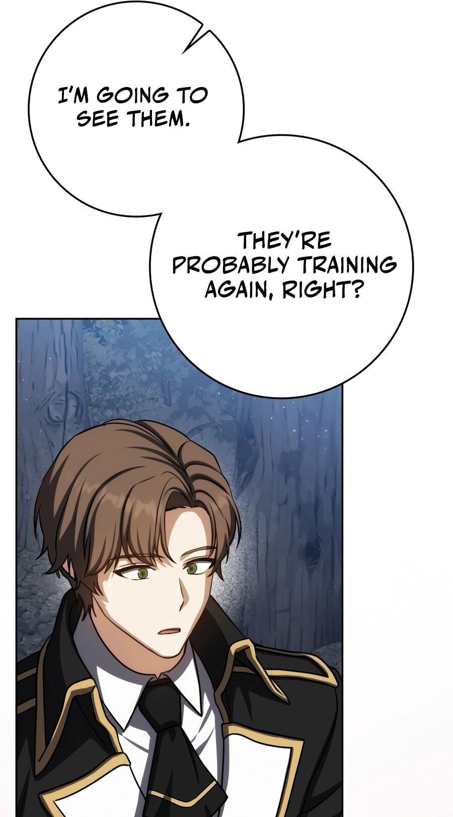 The Reincarnated Assassin Is a Swordmaster Chapter 91 page 89 - 