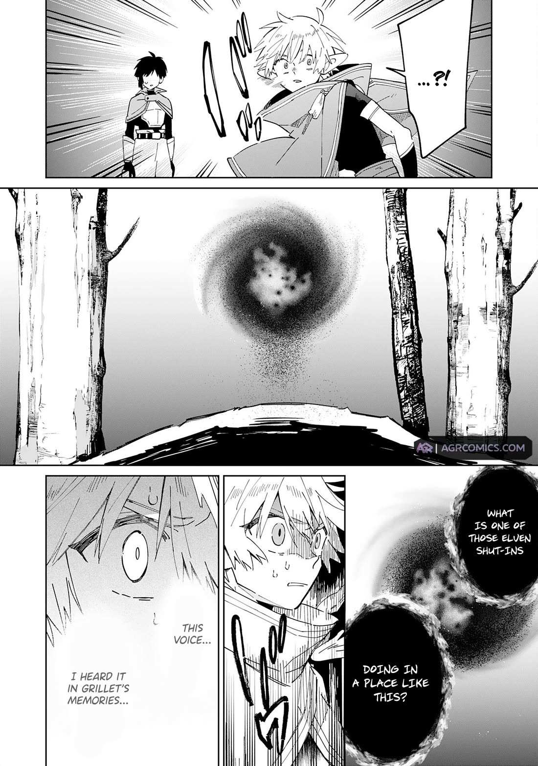 The Reincarnated Elf Left on a Journey to Master His Magic and With His Extra Lifespan Became a Living Legend Chapter 10 page 13 - 