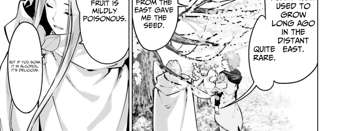 The Reincarnated Hero Starts a Slow Frontier Life Chapter 14 page 27 - 