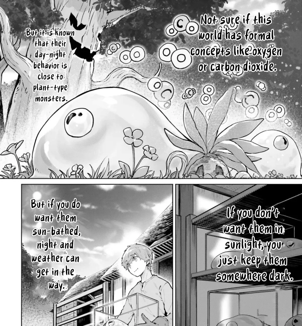 The Reincarnated Hero Starts a Slow Frontier Life Chapter 16 page 12 - 