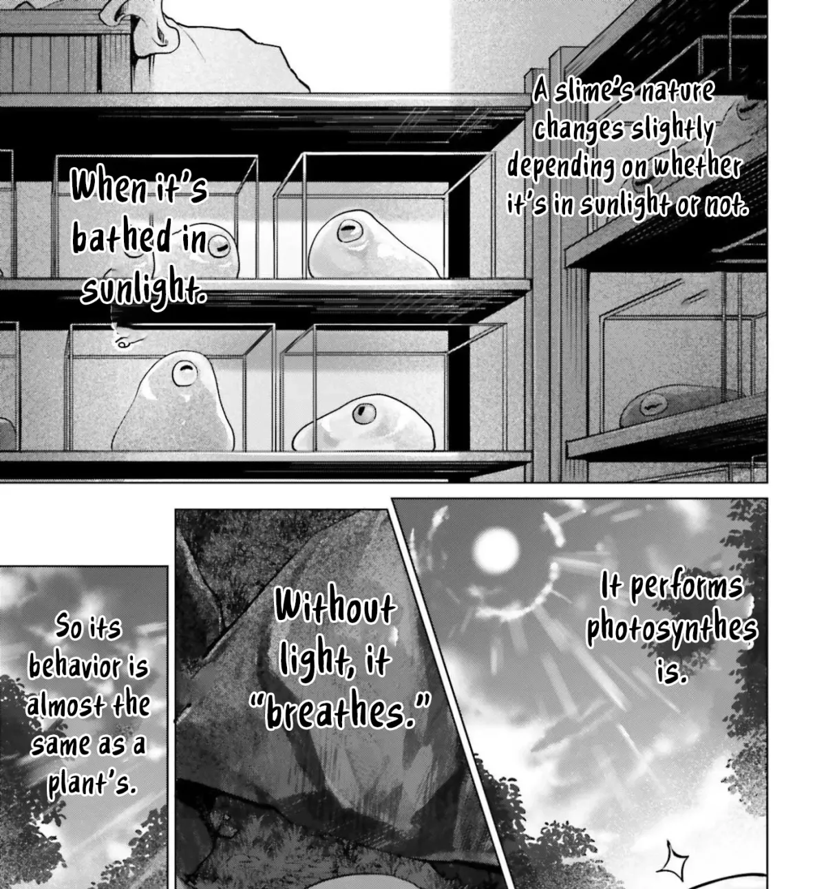 The Reincarnated Hero Starts a Slow Frontier Life Chapter 16 page 10 - 
