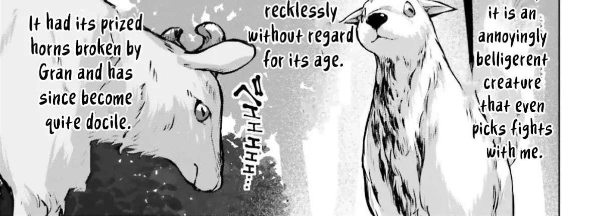 The Reincarnated Hero Starts a Slow Frontier Life Chapter 17 page 13 - 