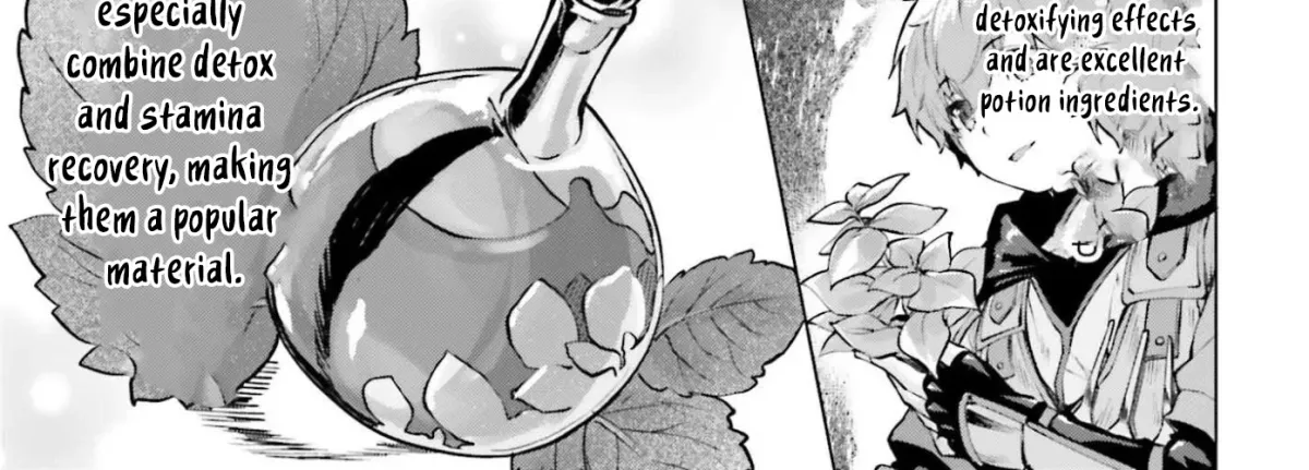 The Reincarnated Hero Starts a Slow Frontier Life Chapter 17 page 33 - 