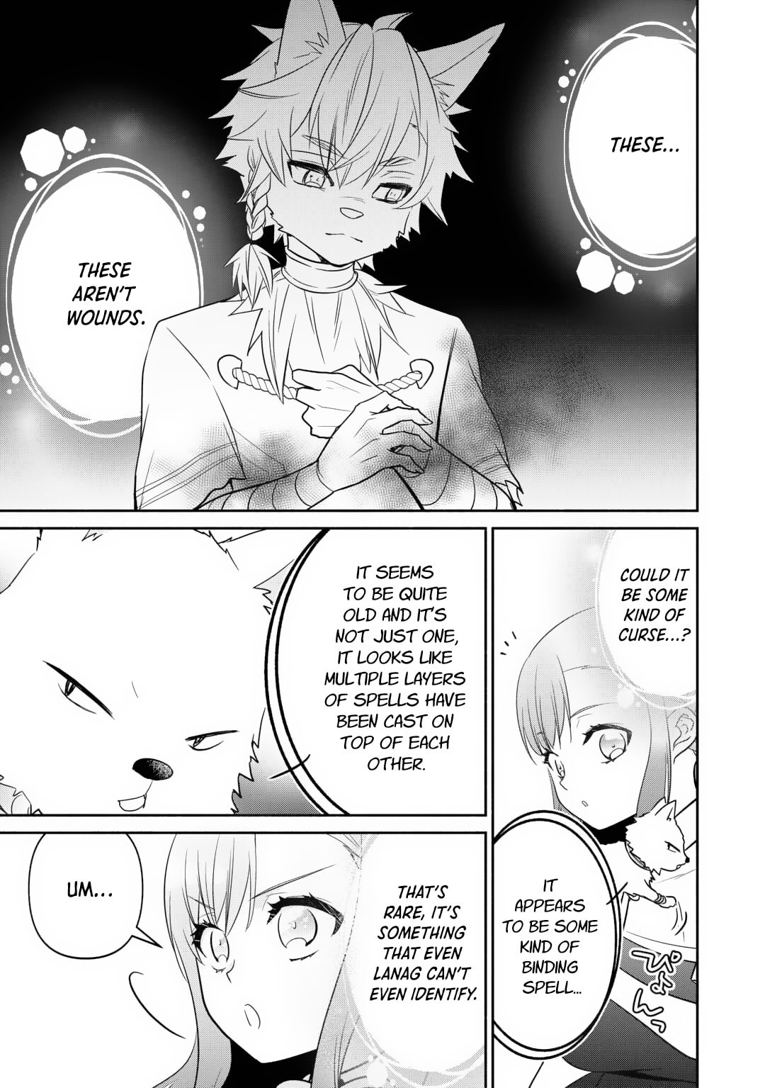 The Reincarnated Little Girl Lives With Divine Beast, Prince, and Mercenaries of Tough Guys Chapter 19 page 13 - 