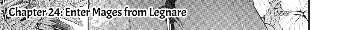 The Reincarnated Marriage of a Hero and Sage Chapter 24 page 2 - 