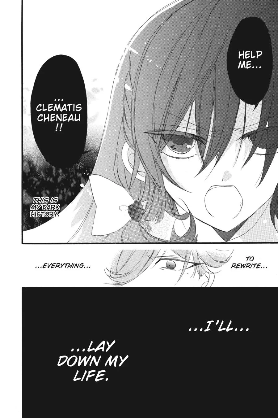 The Reincarnated Villainess