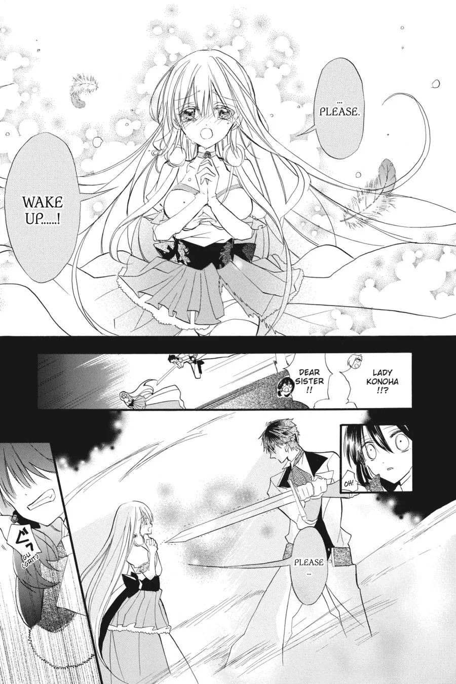 The Reincarnated Villainess