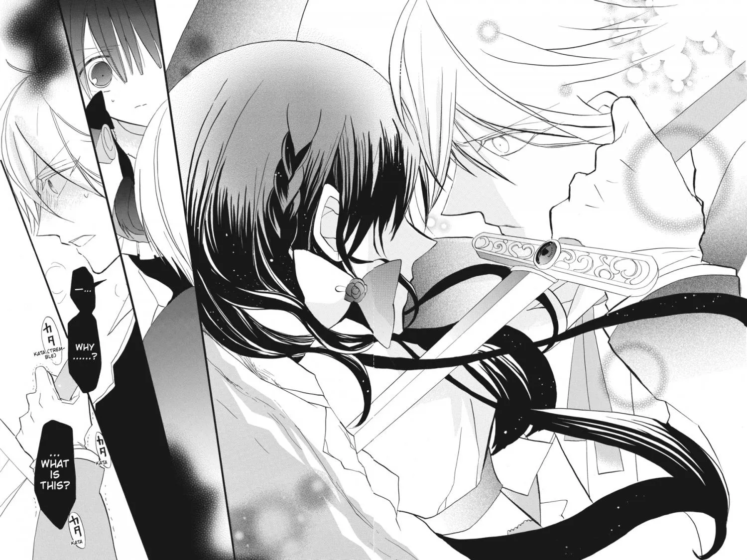The Reincarnated Villainess