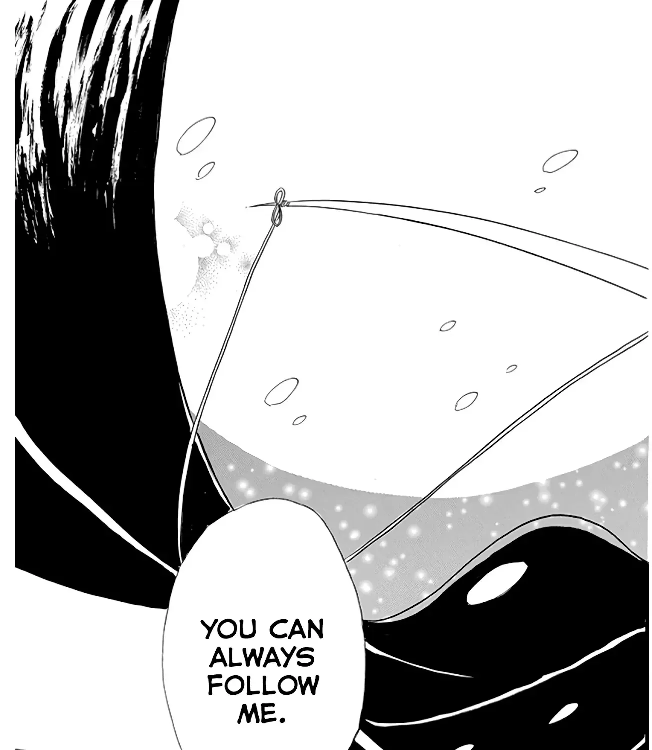 The Reincarnated Villainess