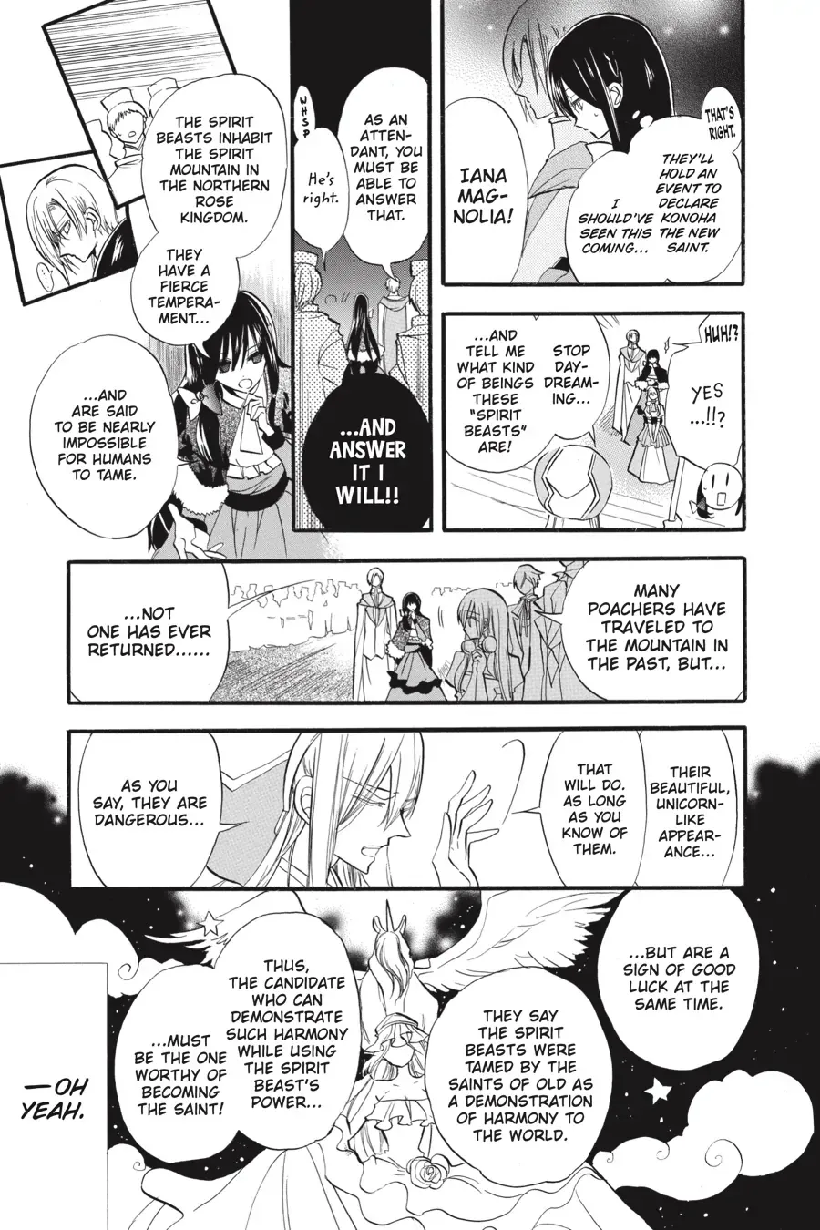 The Reincarnated Villainess