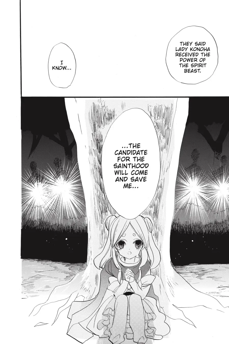 The Reincarnated Villainess