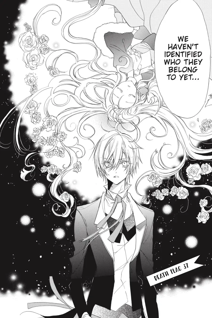 The Reincarnated Villainess