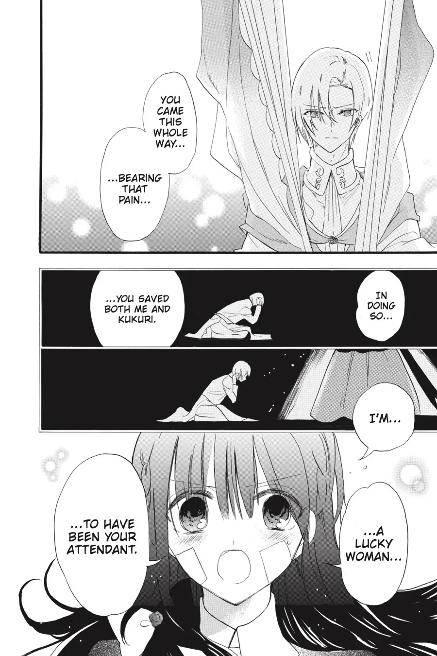 The Reincarnated Villainess