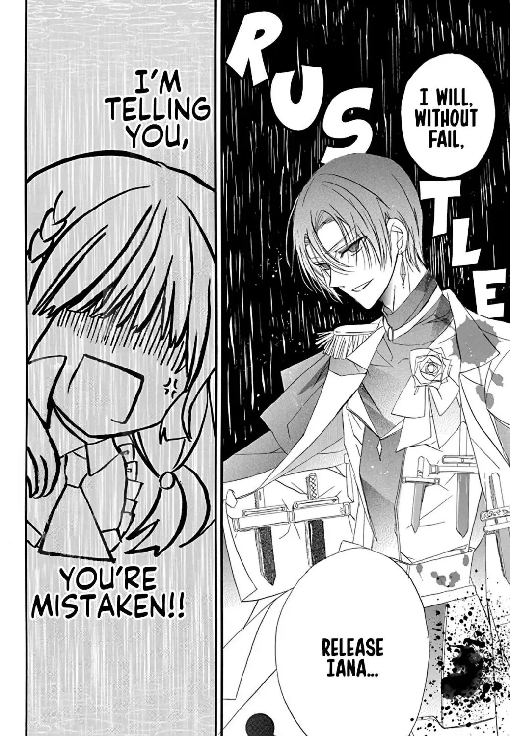 The Reincarnated Villainess