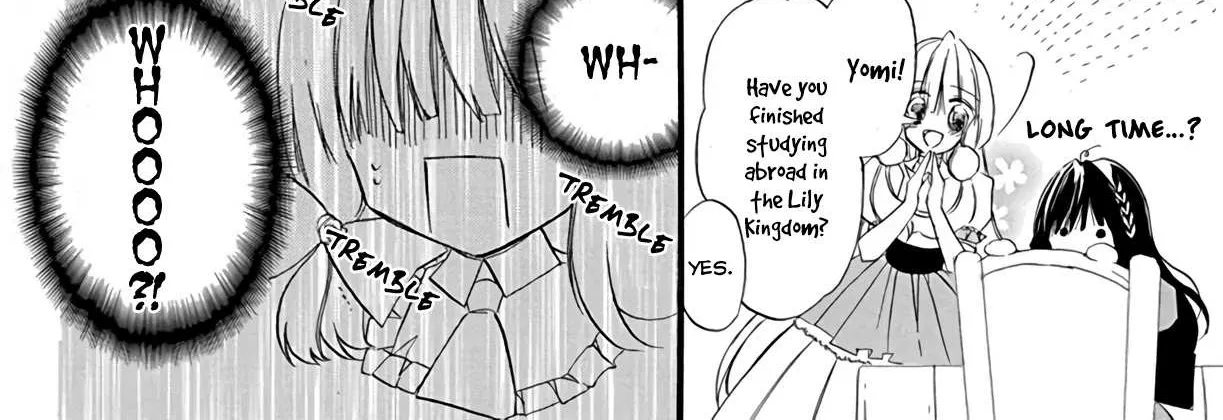 The Reincarnated Villainess
