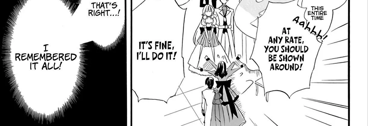 The Reincarnated Villainess