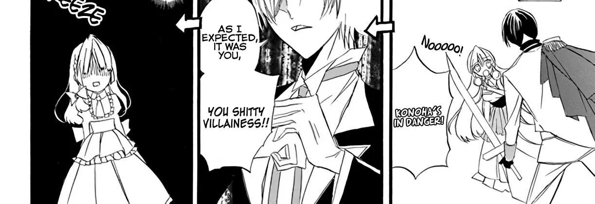 The Reincarnated Villainess