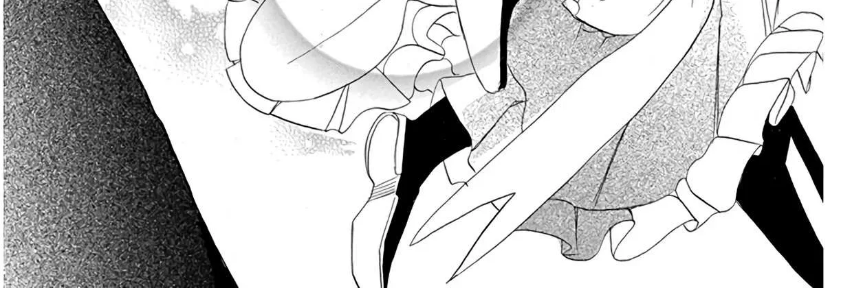 The Reincarnated Villainess