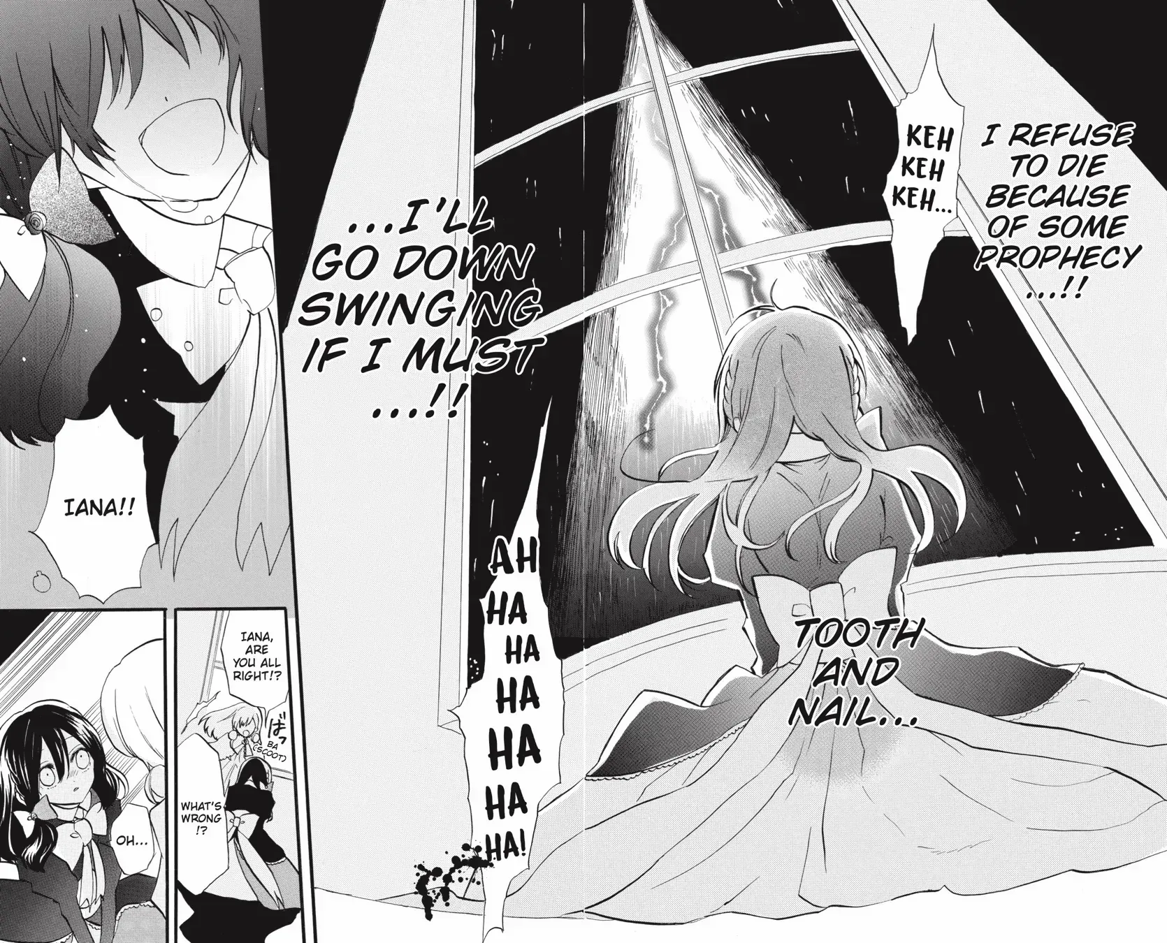 The Reincarnated Villainess