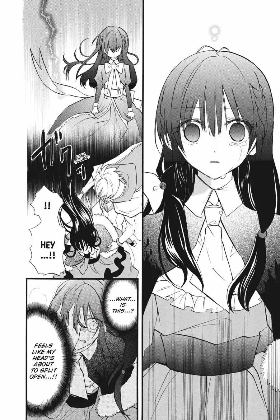 The Reincarnated Villainess