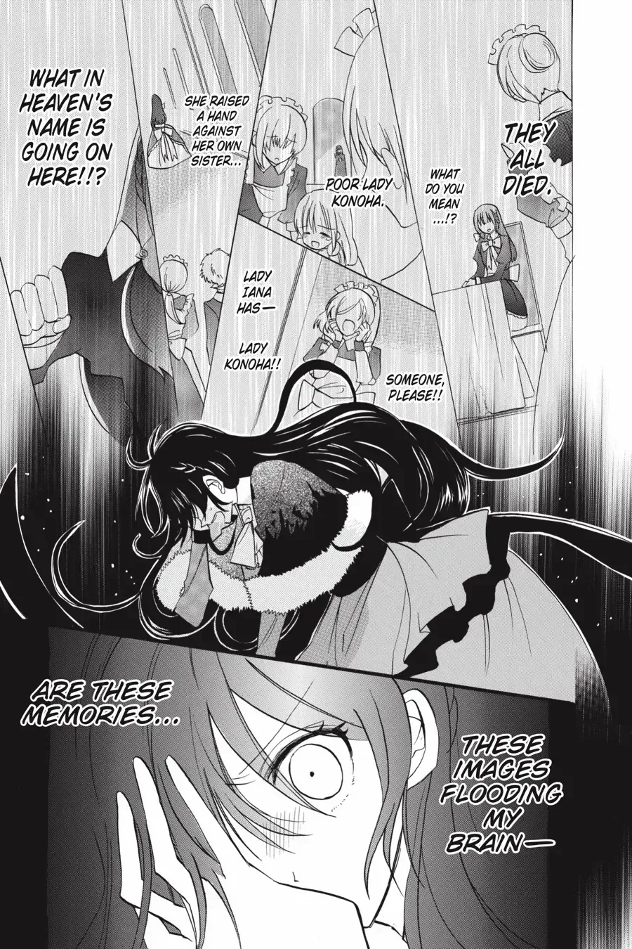 The Reincarnated Villainess