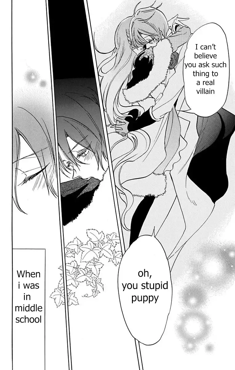 The Reincarnated Villainess