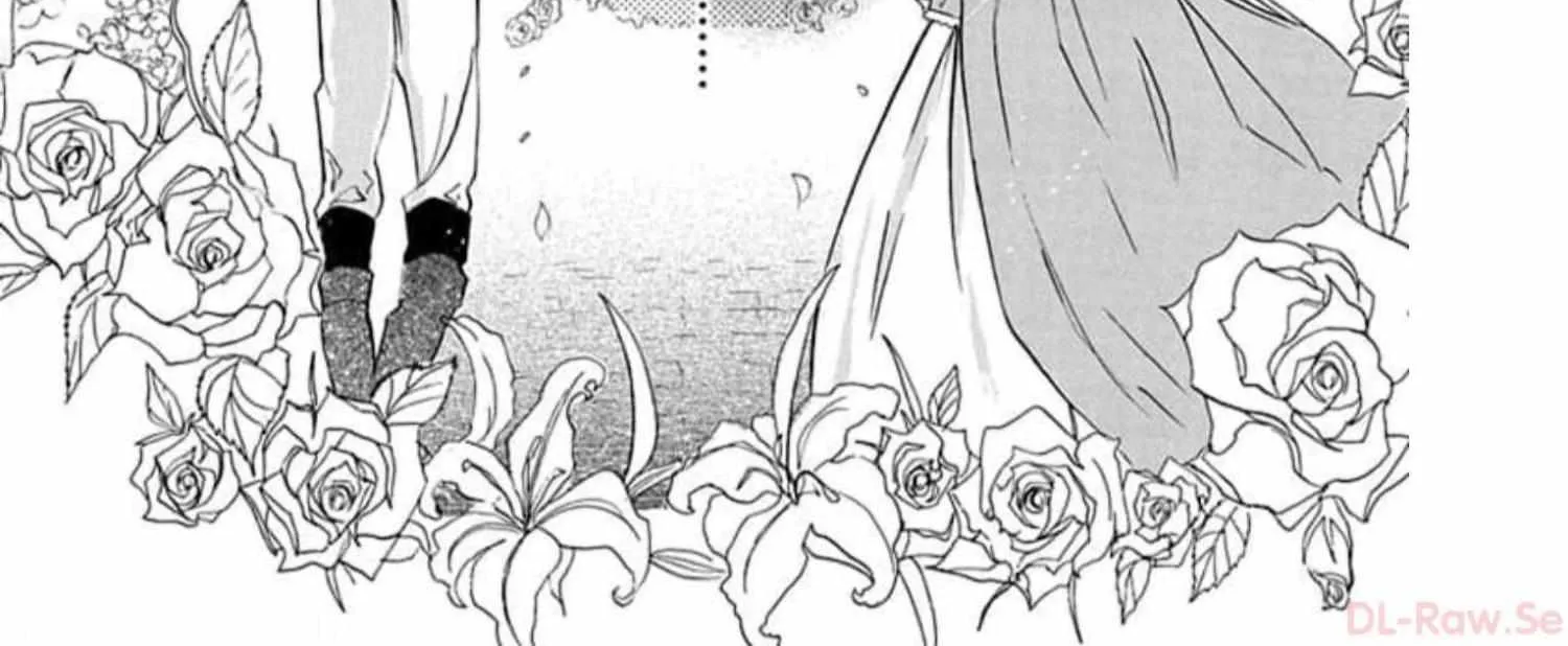 The Reincarnated Villainess