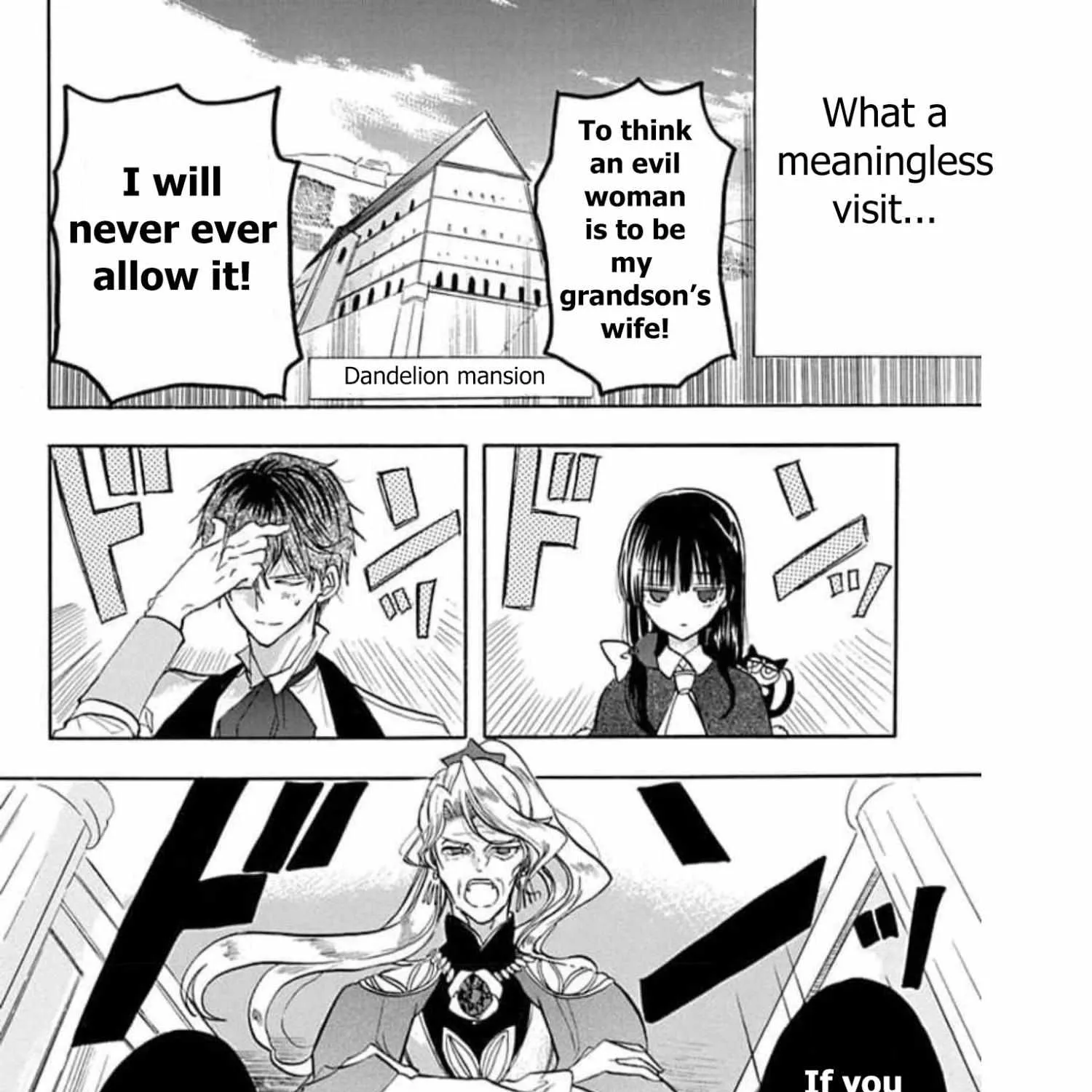 The Reincarnated Villainess