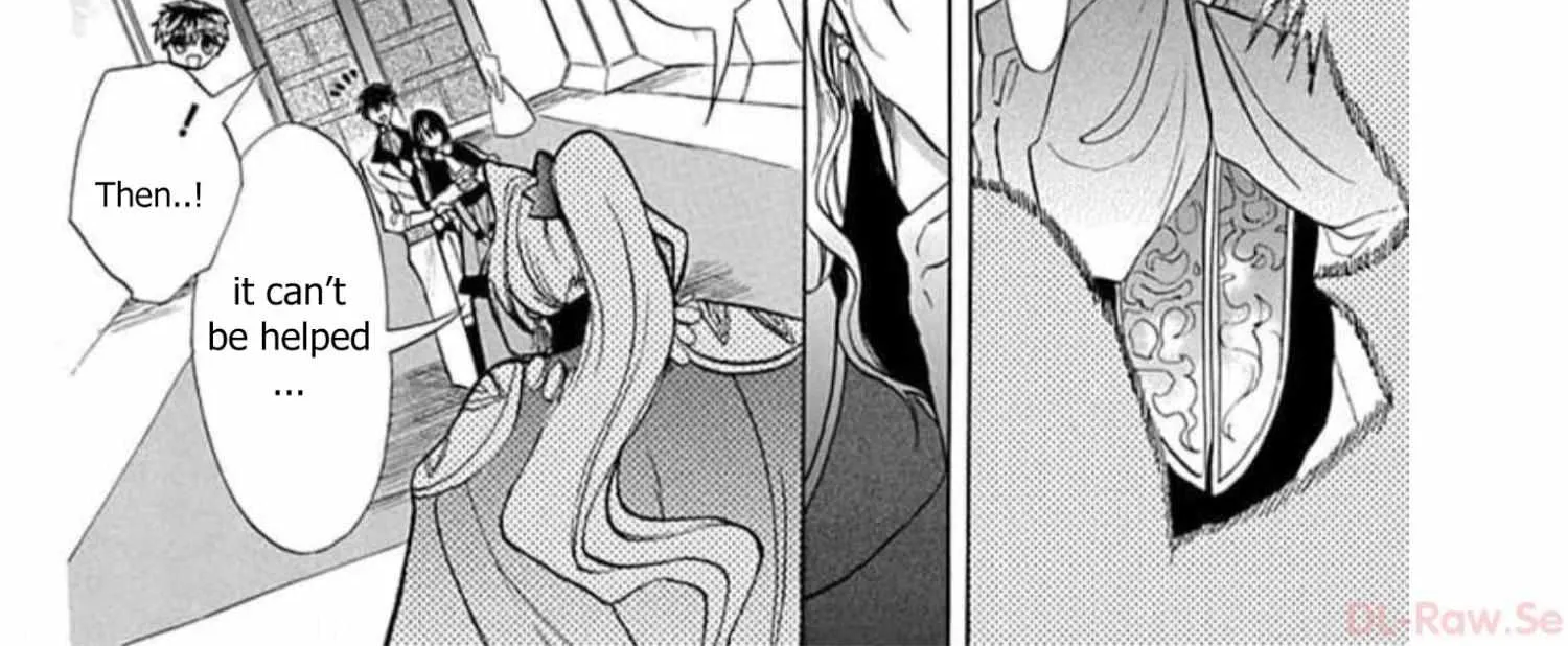The Reincarnated Villainess