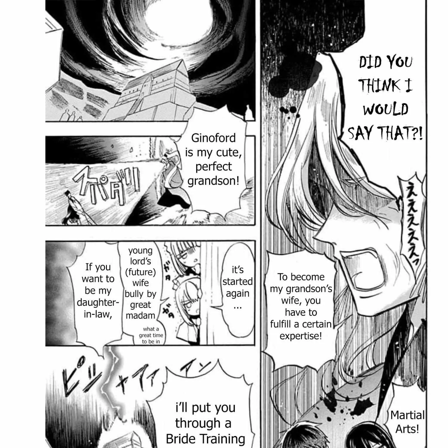 The Reincarnated Villainess