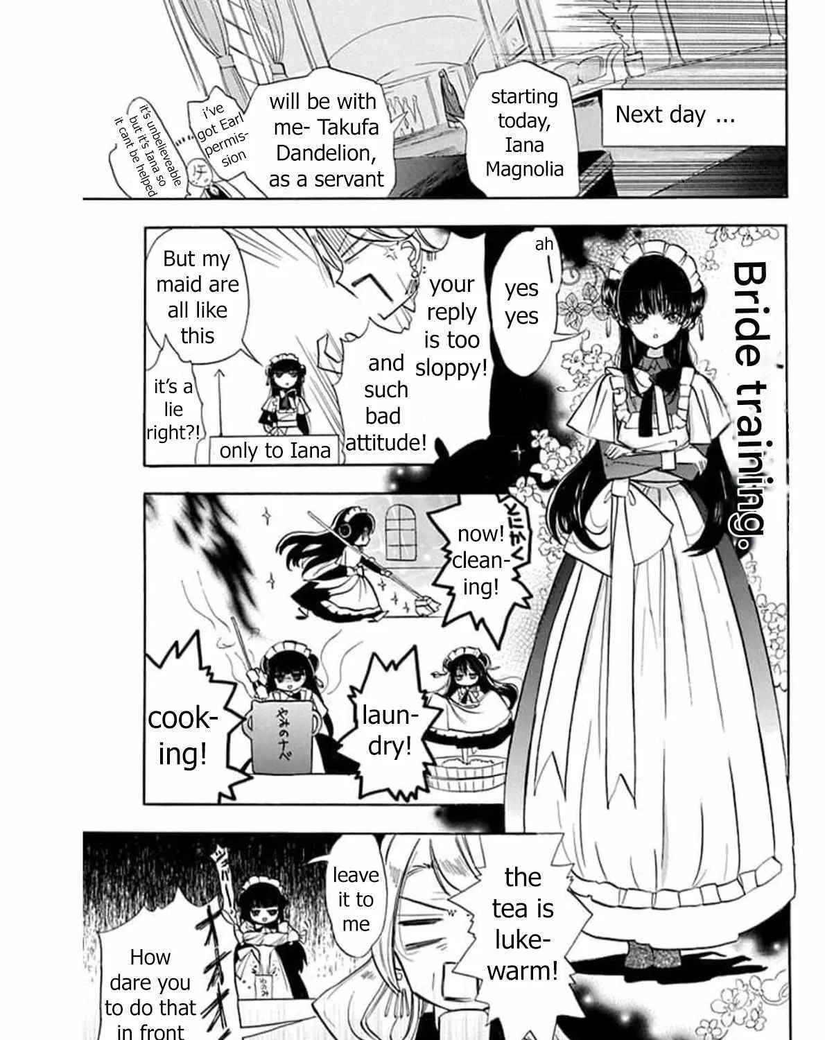 The Reincarnated Villainess