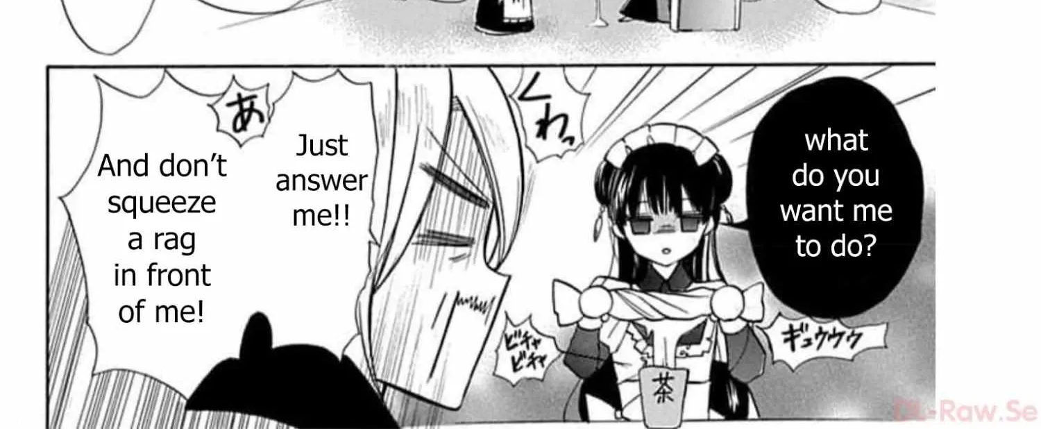 The Reincarnated Villainess