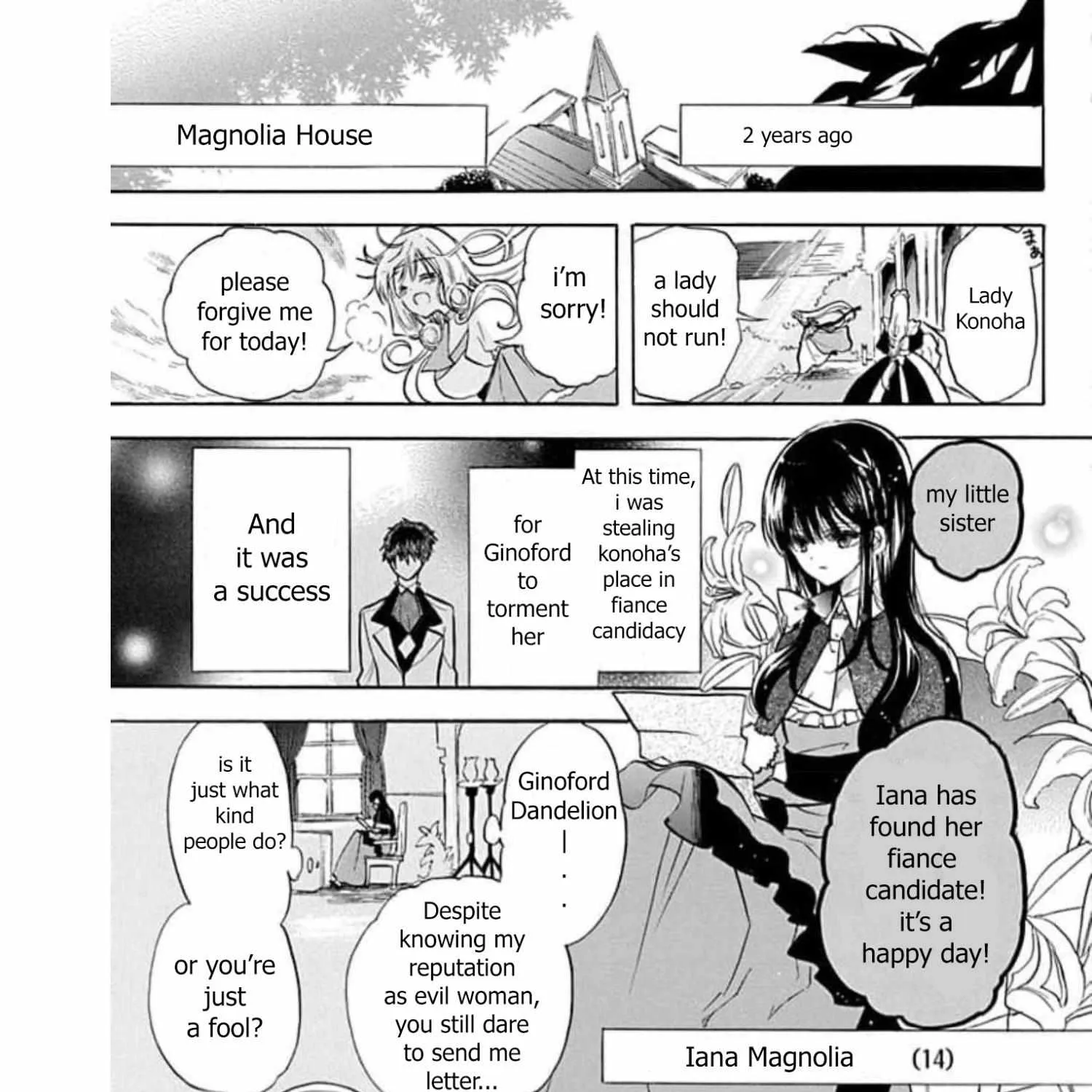 The Reincarnated Villainess