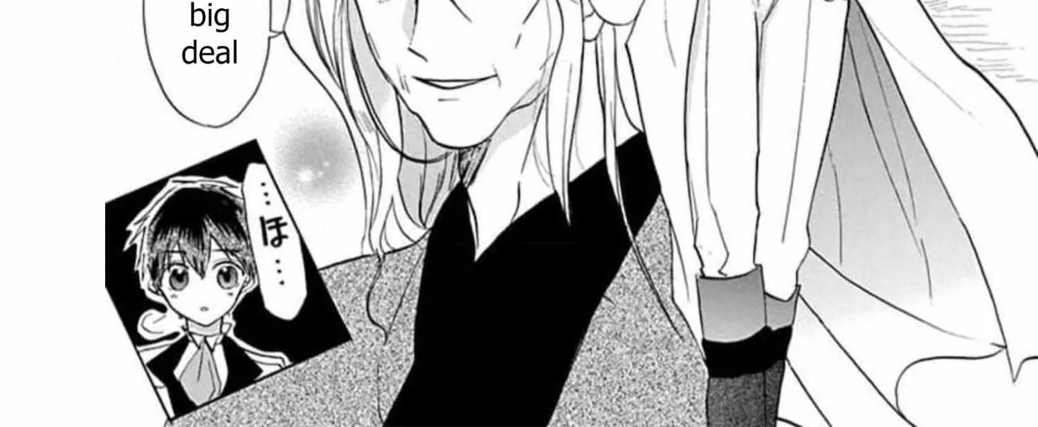 The Reincarnated Villainess