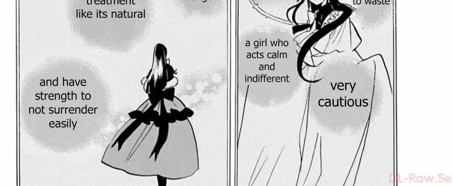 The Reincarnated Villainess
