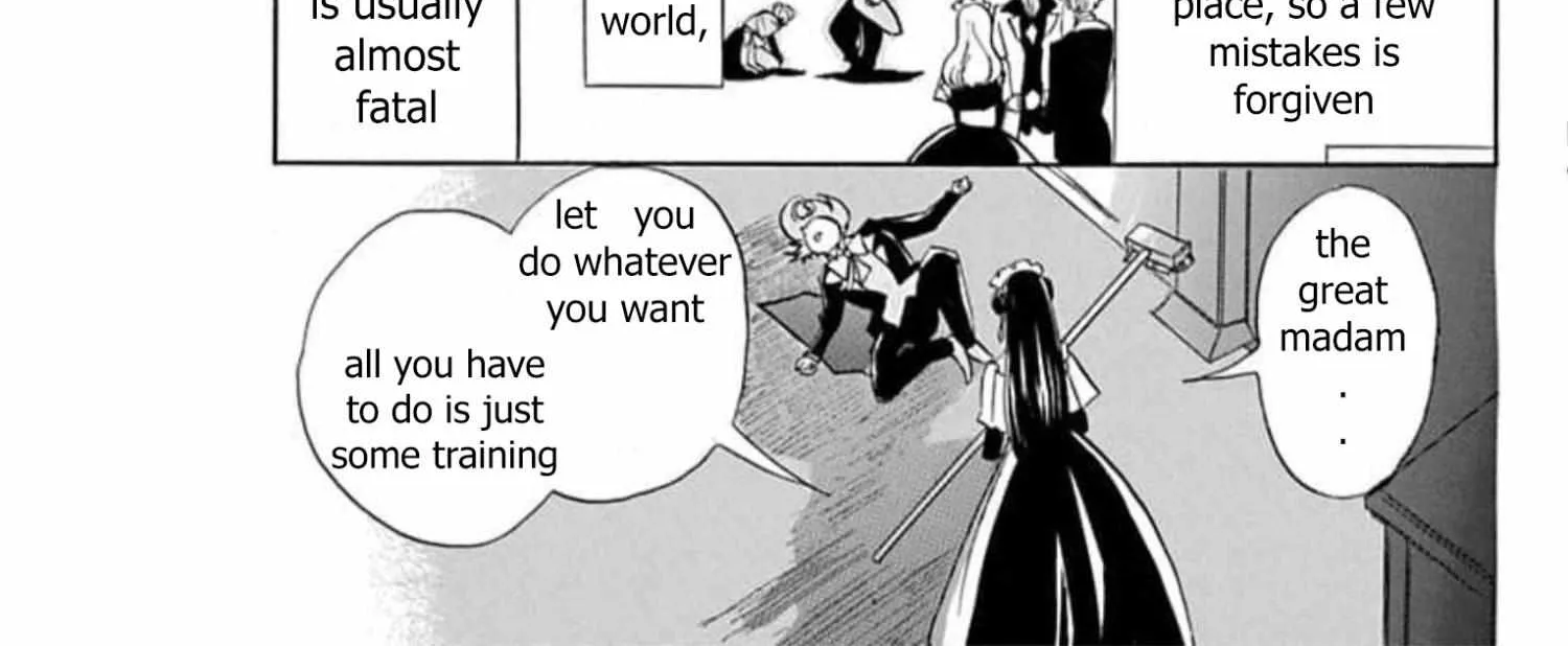 The Reincarnated Villainess