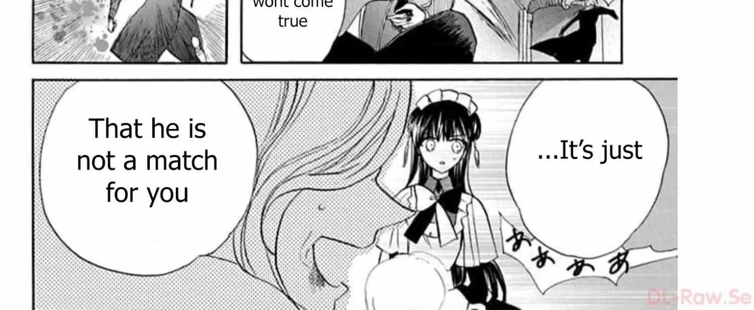 The Reincarnated Villainess