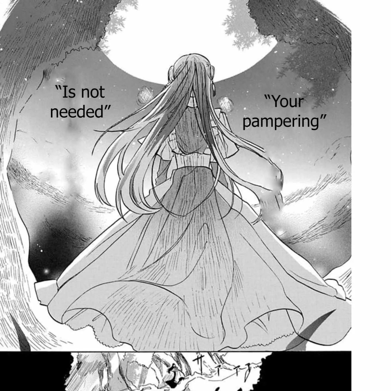 The Reincarnated Villainess
