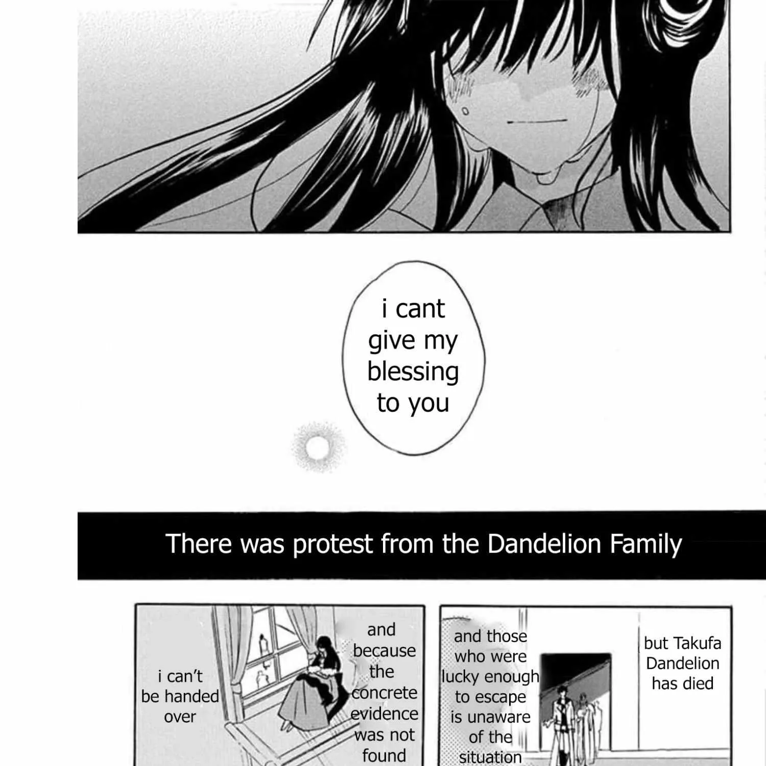 The Reincarnated Villainess