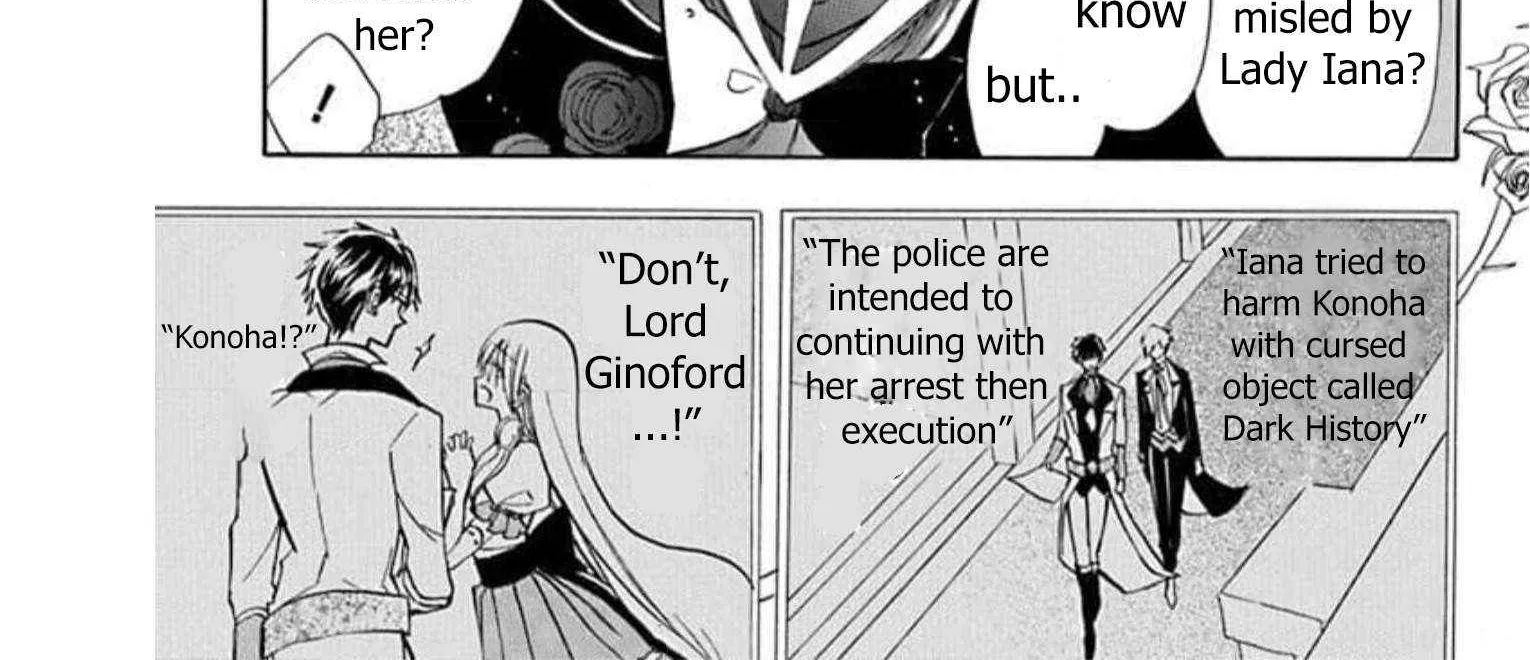 The Reincarnated Villainess
