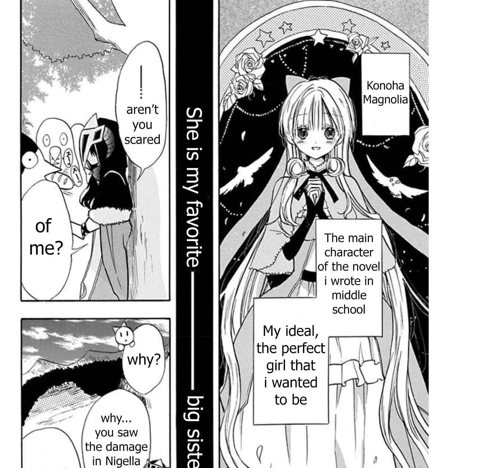 The Reincarnated Villainess