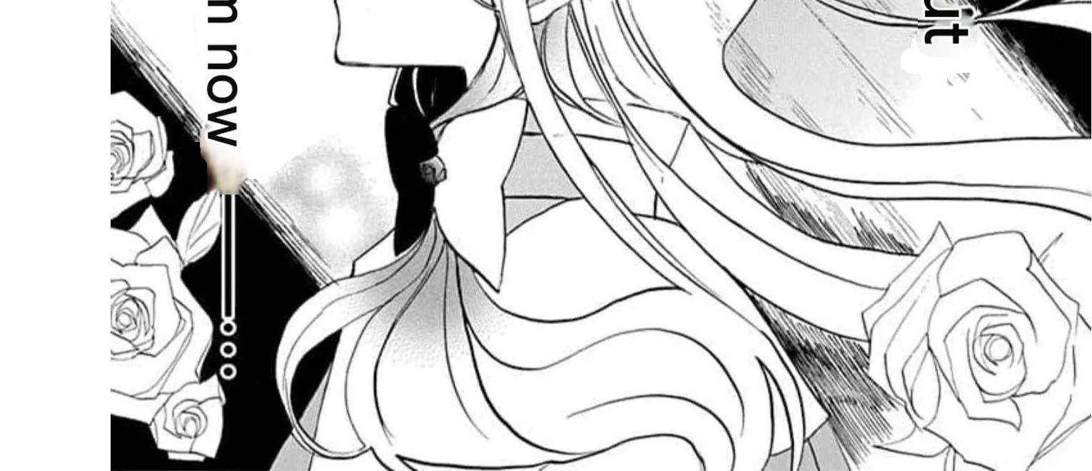 The Reincarnated Villainess