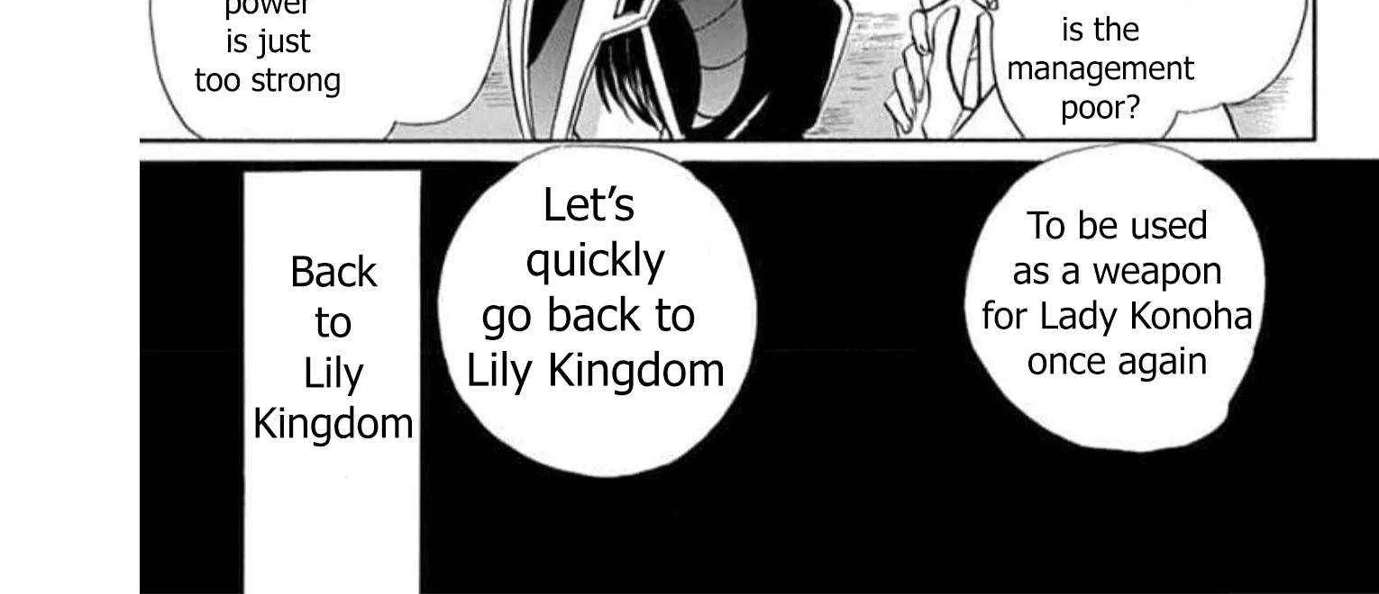 The Reincarnated Villainess