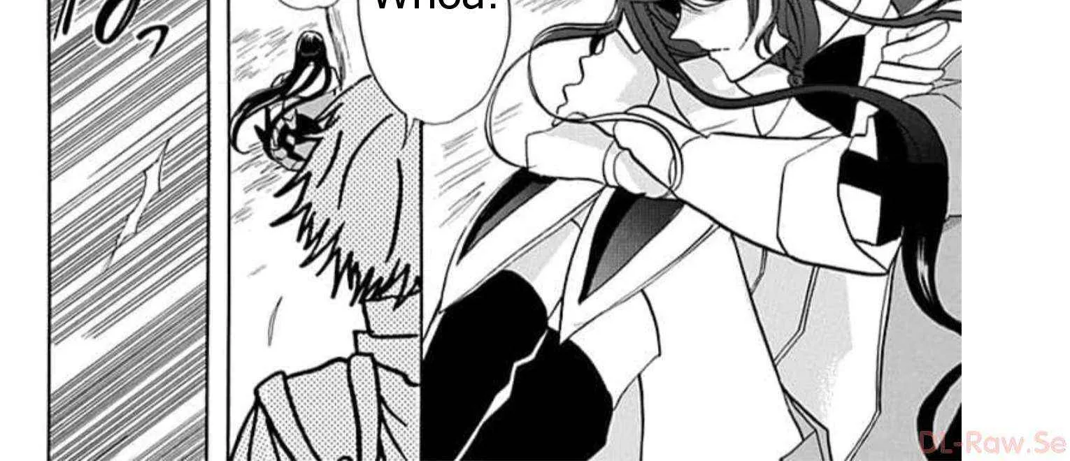 The Reincarnated Villainess